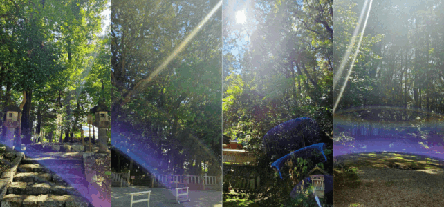 やっと行けた！　高鴨神社　（古代ヤマト、奈良、葛城）