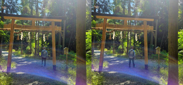 蛇神と、国常立尊(クニトコタチノミコト)の大神 蛇神と、国常立尊(クニトコタチノミコト)の大神