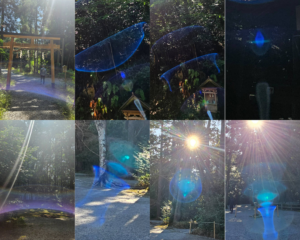 2026年、丙午（ひのえうま）、真実の扉（ゲート）が開く時